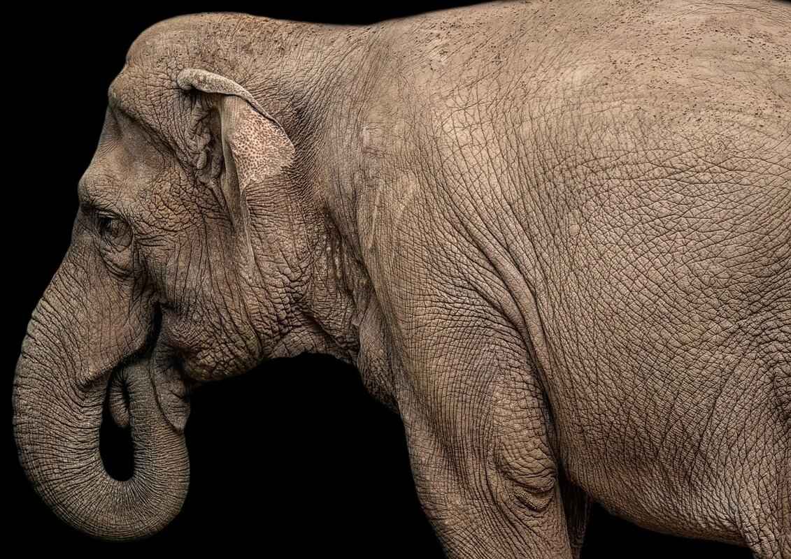 Understanding Asian Massage Techniques