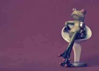 The Most Comfortable Night Dresses for Women – Buyer’s Guide The Most Comfortable Night Dresses for Women – Buyer’s Guide