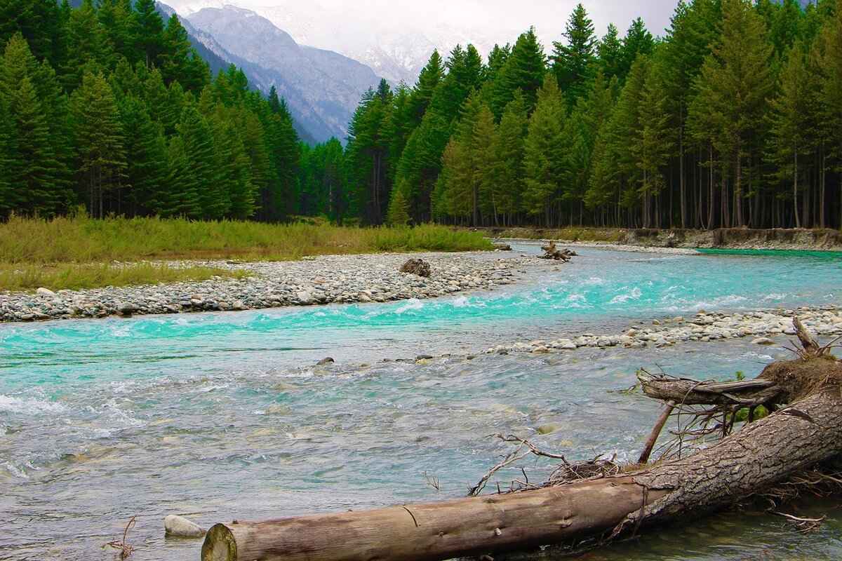 The Most Controversial Celebrity Night Dress Moments Ever 1 What Makes a Celebrity Night Dress Controversial?