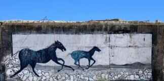 The Most Haunted Places in West Bengal: Real Ghost Stories The Most Haunted Places in West Bengal: Real Ghost Stories