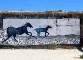 The Most Haunted Places in West Bengal: Real Ghost Stories The Most Haunted Places in West Bengal: Real Ghost Stories