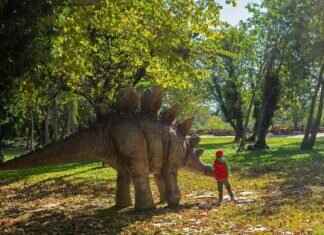 The Most Unusual Dining Experiences in Asia The Most Unusual Dining Experiences in Asia