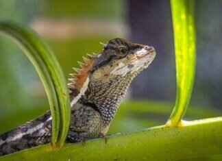 The New Emma Stone Movie: What to Expect from Her Latest Release The New Emma Stone Movie: What to Expect from Her Latest Release