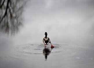 The Perfect Slip Dresses for a Spa-Like Experience at Home The Perfect Slip Dresses for a Spa-Like Experience at Home