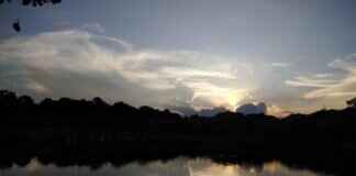 The Psychological Benefits of Listening to Rabindra Sangeet The Psychological Benefits of Listening to Rabindra Sangeet