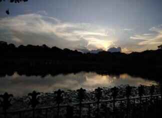 The Psychological Benefits of Listening to Rabindra Sangeet The Psychological Benefits of Listening to Rabindra Sangeet