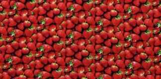 The Rich Handloom Traditions of Bengal: From Tant to Baluchari The Rich Handloom Traditions of Bengal: From Tant to Baluchari