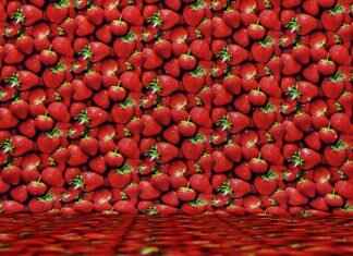 The Rich Handloom Traditions of Bengal: From Tant to Baluchari The Rich Handloom Traditions of Bengal: From Tant to Baluchari