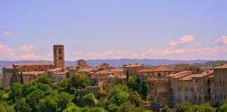 The Rise of Cole Palmer: How He Became a Football Sensation The Rise of Cole Palmer: How He Became a Football Sensation