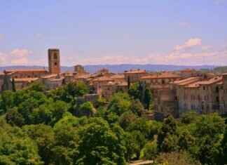 The Rise of Cole Palmer: How He Became a Football Sensation The Rise of Cole Palmer: How He Became a Football Sensation