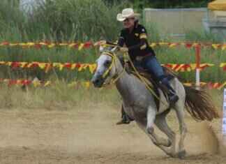 The Rising Stars of Bengali Sports: From Chess to Boxing The Rising Stars of Bengali Sports: From Chess to Boxing
