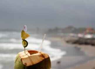 The Role of Coconut in Filipino Cooking The Role of Coconut in Filipino Cooking