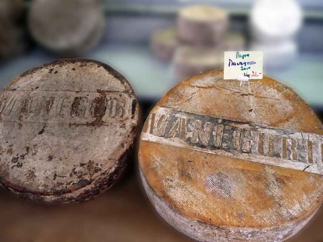 What Role Does Dairy Play in Celebratory Meals?