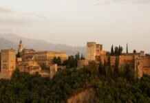 The Role of Food in Islamic Weddings in South Asia The Role of Food in Islamic Weddings in South Asia