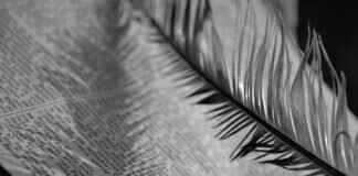 The Role of Newspapers in Bengali Literature and Social Change The Role of Newspapers in Bengali Literature and Social Change