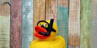 The Secret to Cooking Perfect Peking Duck at Home The Secret to Cooking Perfect Peking Duck at Home