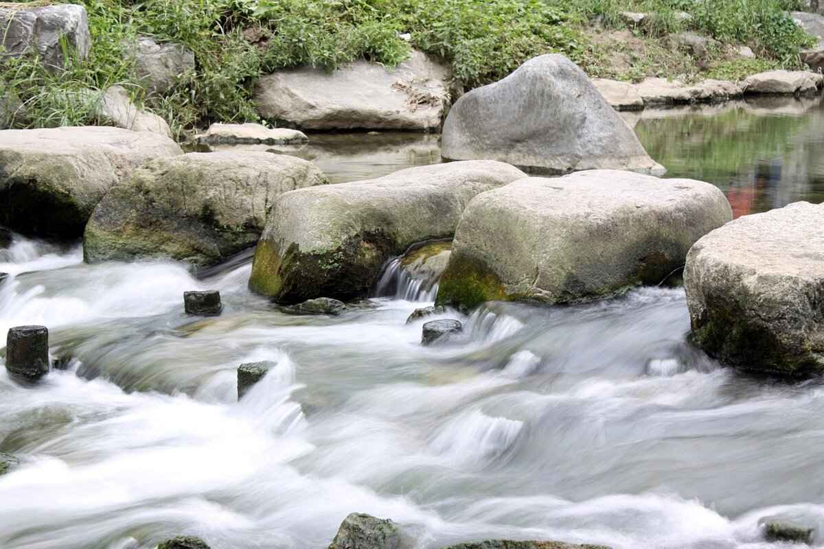 What Are the Legal Implications of the Leak?