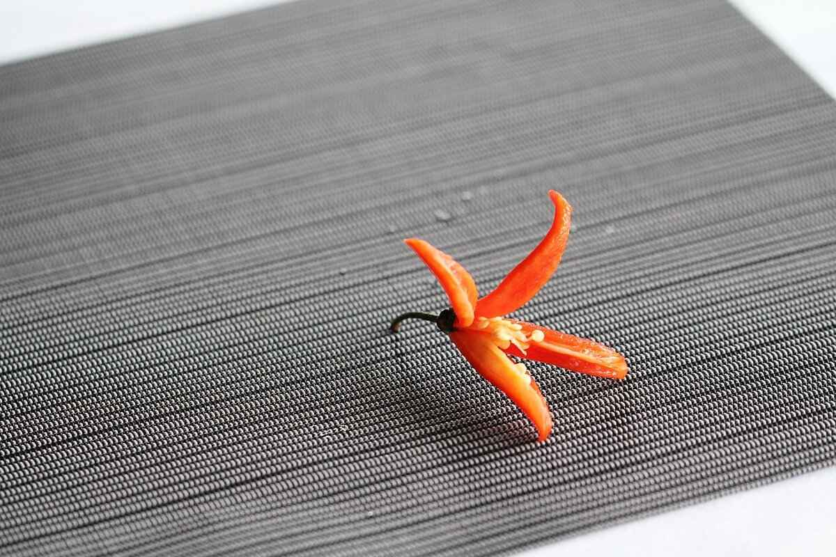 The Ultimate Guide to Thai Curries: Green, Red, and Massaman 4 Massaman Curry: A Unique Thai Fusion