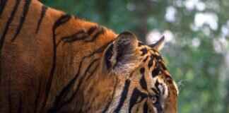 The West Bengal Council of Higher Secondary Education: A Quick Guide The West Bengal Council of Higher Secondary Education: A Quick Guide