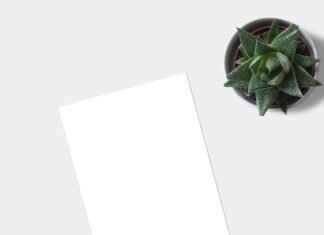 TitaniumInvest.com Invest: How to Build a Profitable Investment Portfolio TitaniumInvest.com Invest: How to Build a Profitable Investment Portfolio