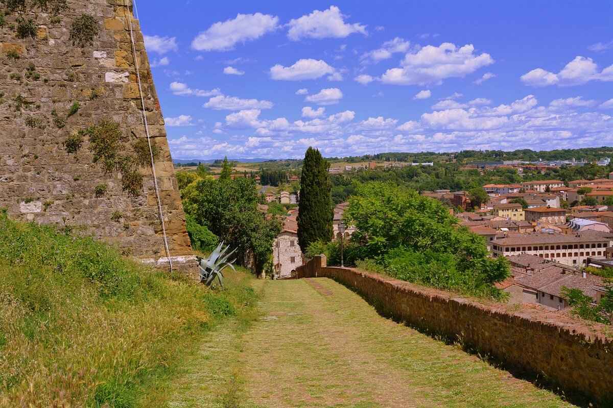 Todd Cole: The Football Figure You Should Know About 6 Future Endeavors and Legacy