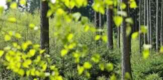 Toe Guards: Best Protection for Work & Sports Toe Guards: Best Protection for Work & Sports