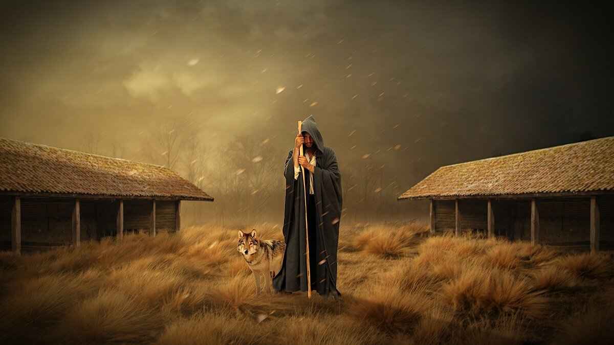 Maintenance and Care for Toe Guards