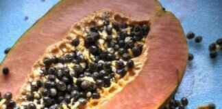 Top 10 Funniest Moments in Paw Patrol History Top 10 Funniest Moments in Paw Patrol History