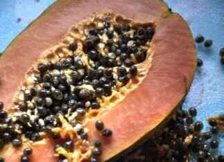 Top 10 Funniest Moments in Paw Patrol History Top 10 Funniest Moments in Paw Patrol History