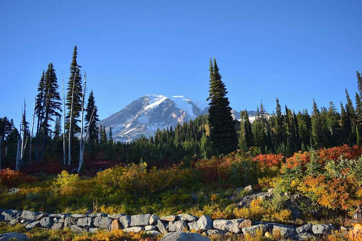 Top 10 GoPro Hero 12 Mounts for Every Adventure 5 3. Tripod Mount: Stability for Static Shots