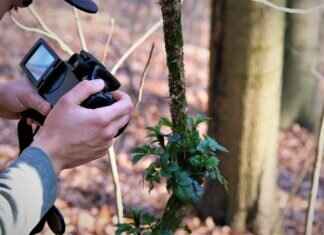 Top 5 Budget Action Cameras Compared: Which One Should You Get? Top 5 Budget Action Cameras Compared: Which One Should You Get?