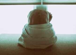 Top Asian Massage Locations in Miami for Unmatched Relaxation Top Asian Massage Locations in Miami for Unmatched Relaxation