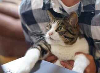 Top Part-Time Remote Jobs You Can Do in the Evening Top Part-Time Remote Jobs You Can Do in the Evening