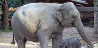 Top Picks: Best Asian Massage Parlors for Relaxation and Pleasure Top Picks: Best Asian Massage Parlors for Relaxation and Pleasure