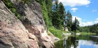 Top Rated Windshield Wipers: Our Picks for 2024 Top Rated Windshield Wipers: Our Picks for 2024