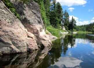 Top Rated Windshield Wipers: Our Picks for 2024 Top Rated Windshield Wipers: Our Picks for 2024