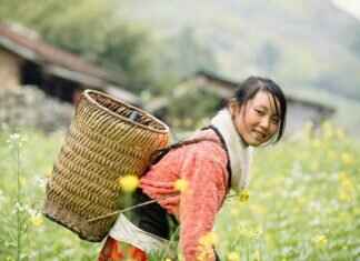 Top Reasons to Choose Table Shower Massages in Asian Spas Top Reasons to Choose Table Shower Massages in Asian Spas