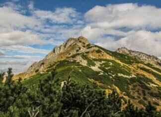 TopTenLast.com: Is It the Ultimate Listicle Site? TopTenLast.com: Is It the Ultimate Listicle Site?