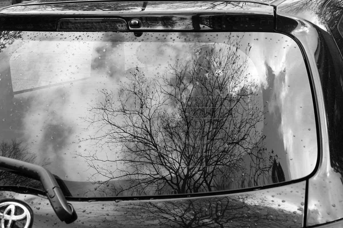 How to Install Windshield Wipers on Your Tacoma?