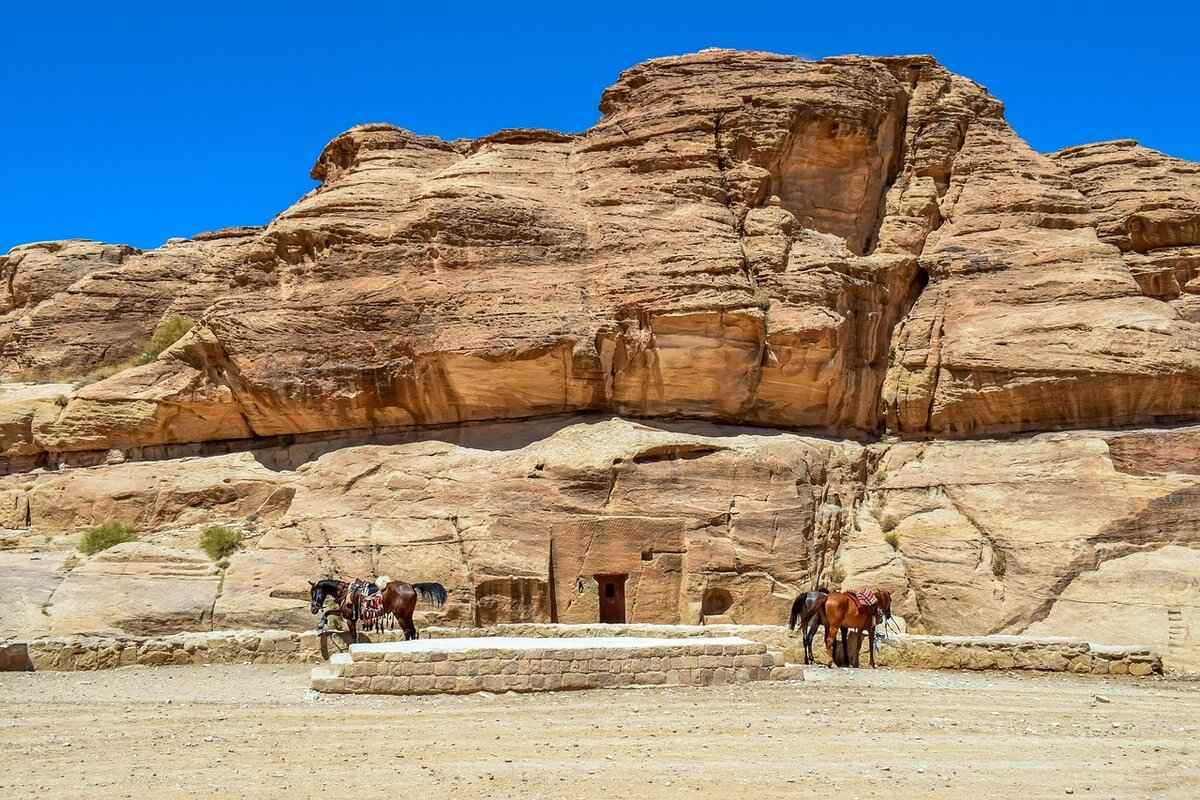 Traditional Dishes Served During Qurban (Eid al-Adha) 2 Popular Meat Dishes Served During Qurban