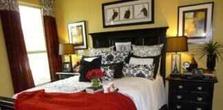 Trending Bed Designs: Best Ideas & Where to Buy Modern Beds in the US Trending Bed Designs: Best Ideas & Where to Buy Modern Beds in the US