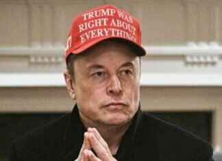 Trump Holds Cabinet Meeting with Elon Musk Present trump-holds-cabinet-meeting-with-elon-musk-present