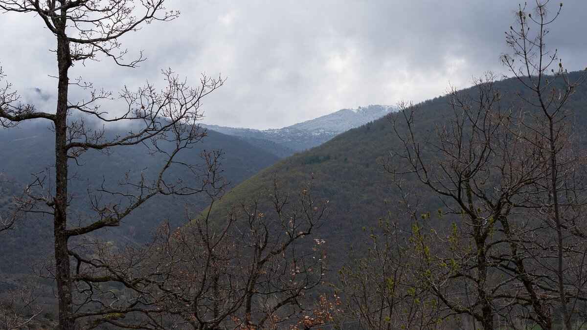 TrWho.com: How This Platform Helps You Find the Best Content 5 Who Can Benefit from TrWho.com?