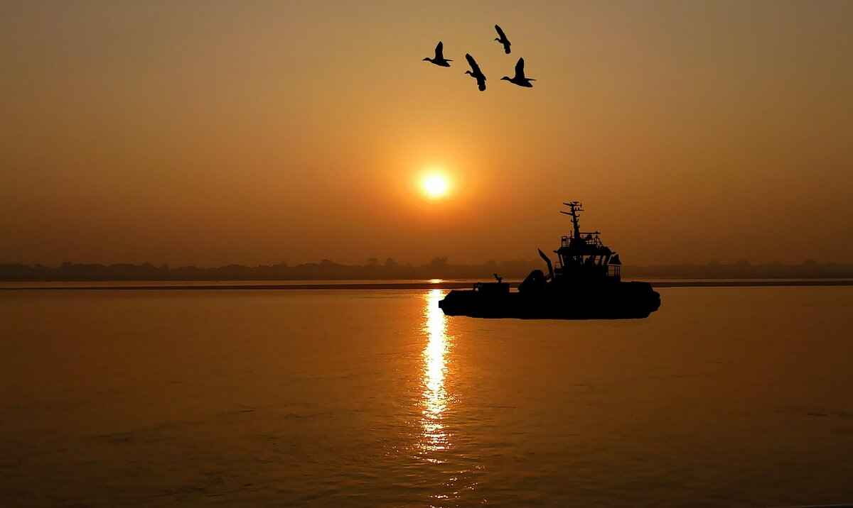 Tug of War Rope: Best Choices for Strength, Durability, and Grip 6 Safety Considerations for Tug of War Events