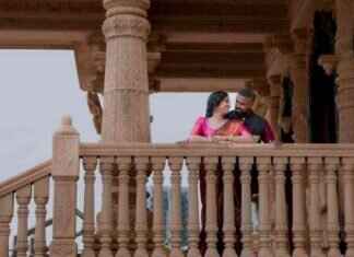 Understanding Bird Behavior: Love vs Aggression understanding-bird-behavior-love-vs-aggression