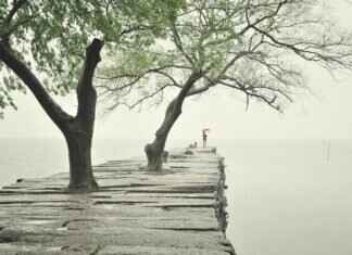 Understanding Emma Stone’s Pronouns: What You Need to Know Understanding Emma Stone’s Pronouns: What You Need to Know