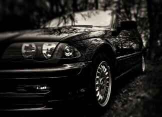 Understanding Kombu: The Seaweed That Boosts Umami Understanding Kombu: The Seaweed That Boosts Umami