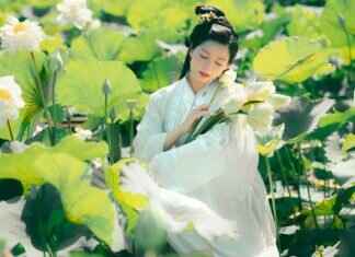 Understanding the Cultural Origins of Asian Massage Practices Understanding the Cultural Origins of Asian Massage Practices