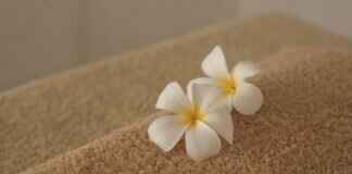 Understanding the Diversity of Asian Massage Practices Globally Understanding the Diversity of Asian Massage Practices Globally