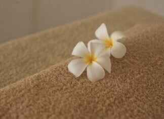 Understanding the Diversity of Asian Massage Practices Globally Understanding the Diversity of Asian Massage Practices Globally